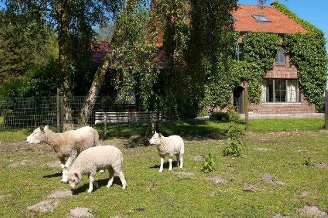 B&B De Passerel Bree Εξωτερικό φωτογραφία