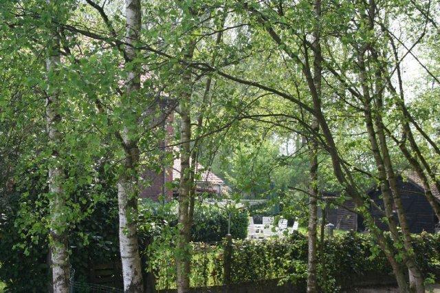 B&B De Passerel Bree Εξωτερικό φωτογραφία